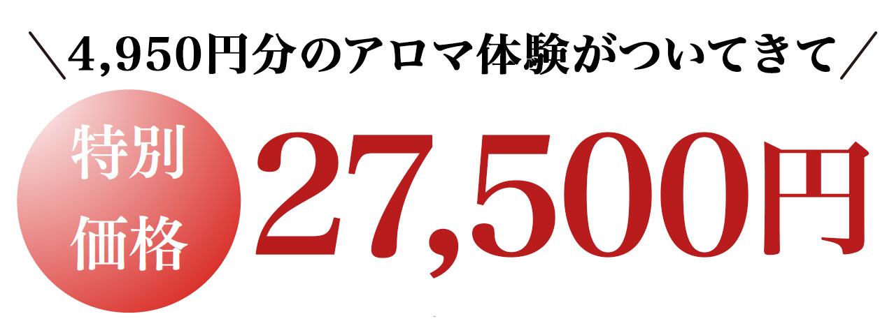 特別価格27,500円